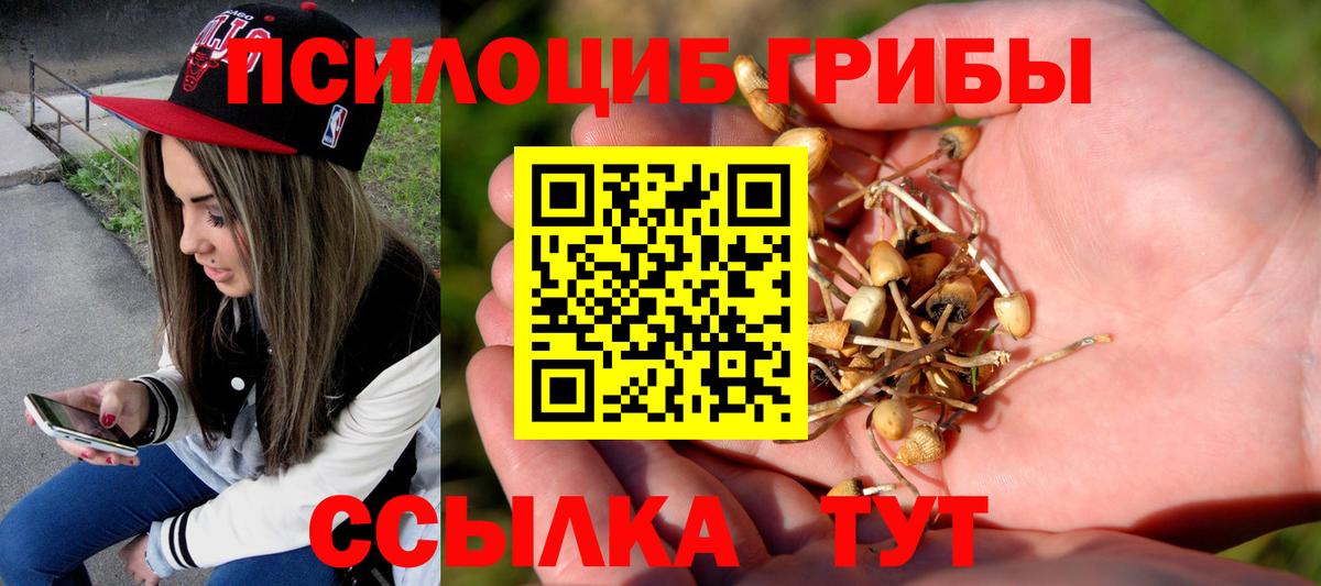 Галлюциногенные грибы Cubensis Карпинск
